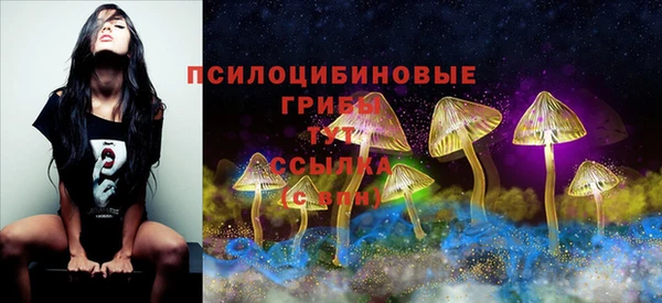 дурь Абаза